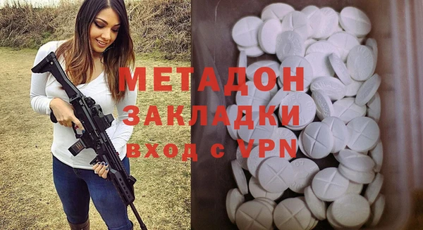 прущие грибы Лабытнанги
