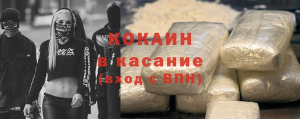 прущие грибы Лабытнанги