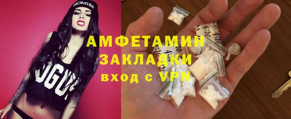 прущие грибы Лабытнанги