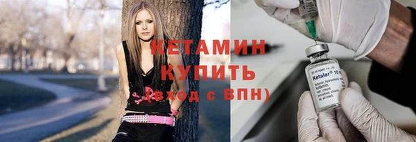 прущие грибы Лабытнанги