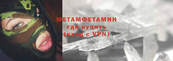 прущие грибы Лабытнанги