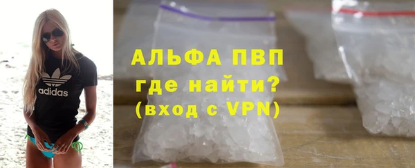прущие грибы Лабытнанги
