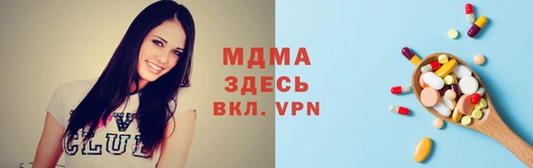 прущие грибы Лабытнанги