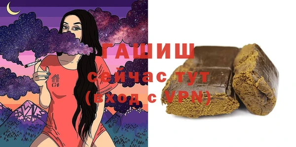 прущие грибы Лабытнанги