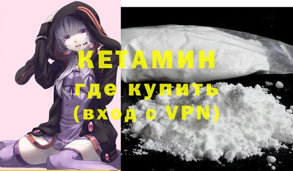 прущие грибы Лабытнанги