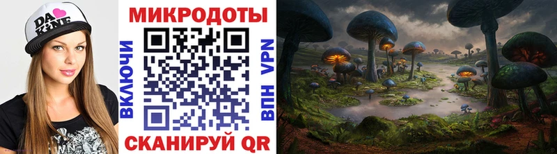 Купить закладки Котельниково Галлюциногенные грибы MAGIC MUSHROOMS